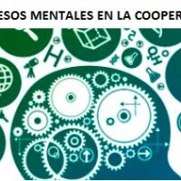 Procesos mentales en las cooperativas