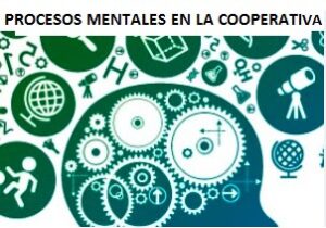 Procesos mentales en las cooperativas